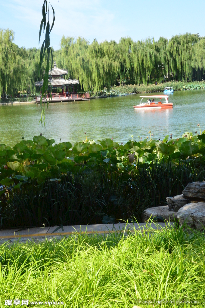 陶然亭风景