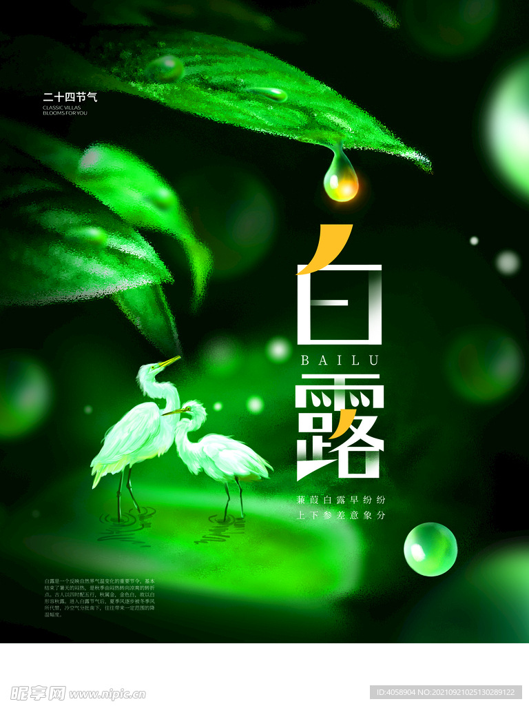 白露