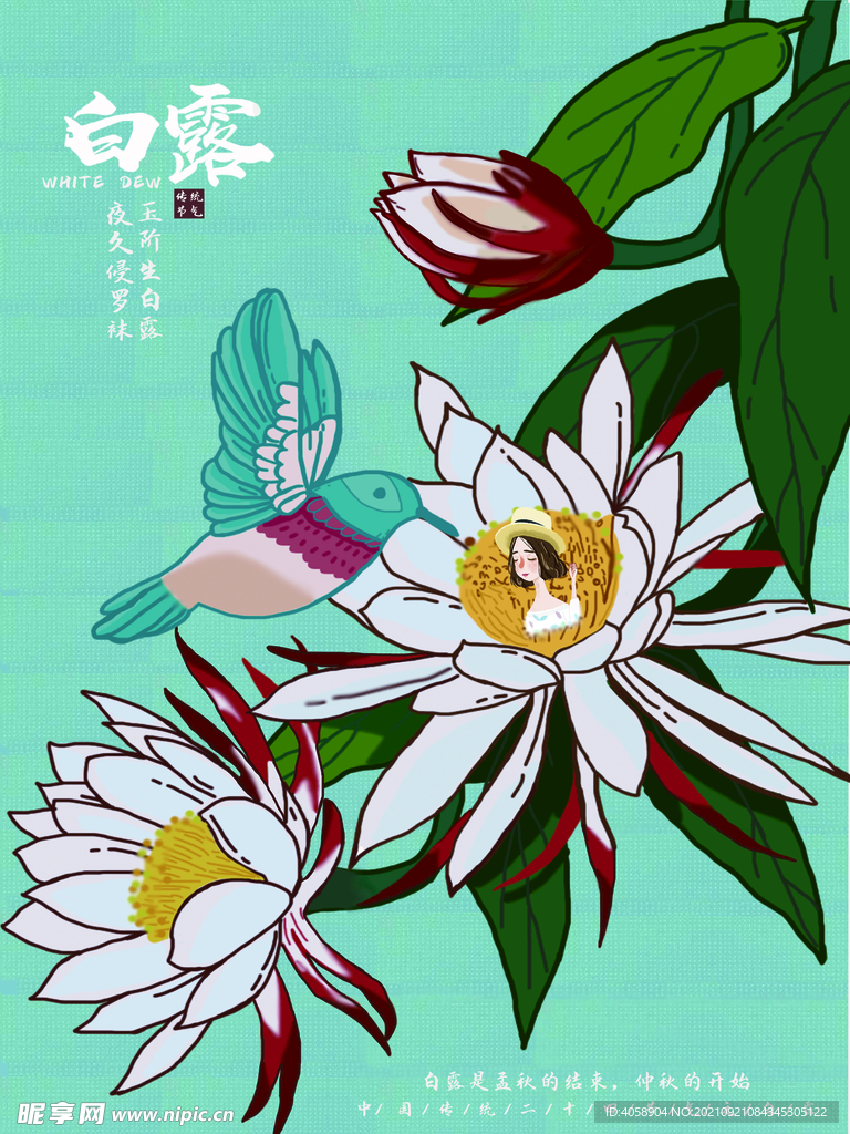 白露