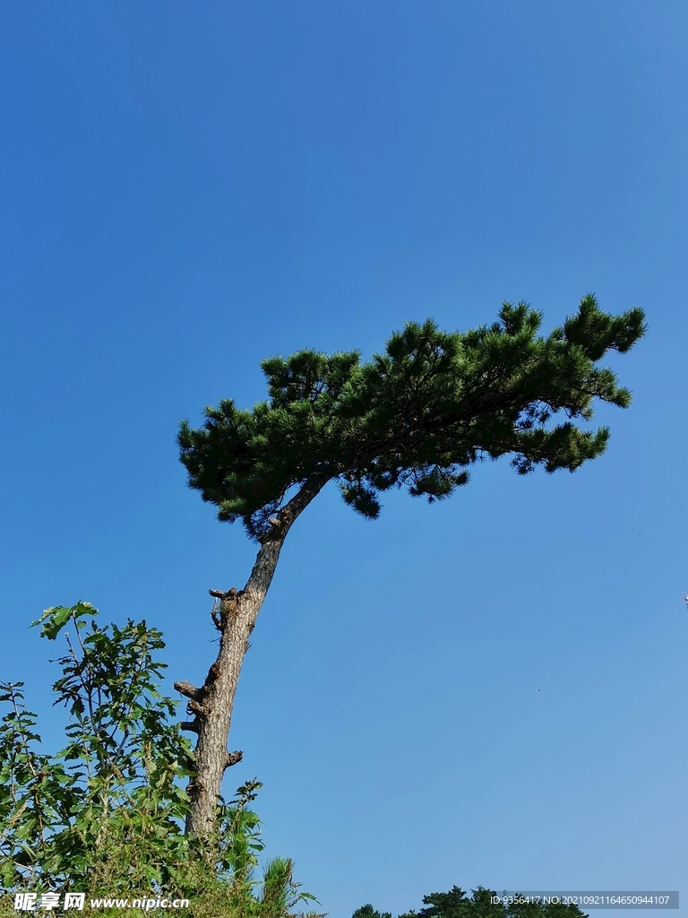 自然景观