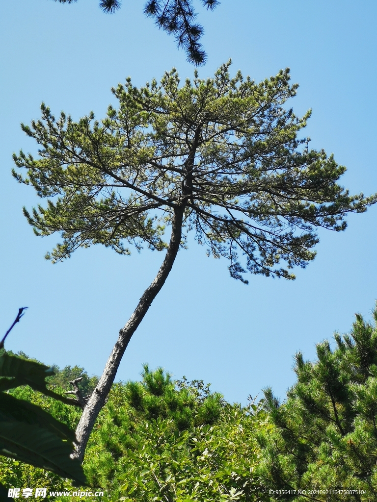 自然景观