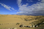 青海湖沙漠羊群