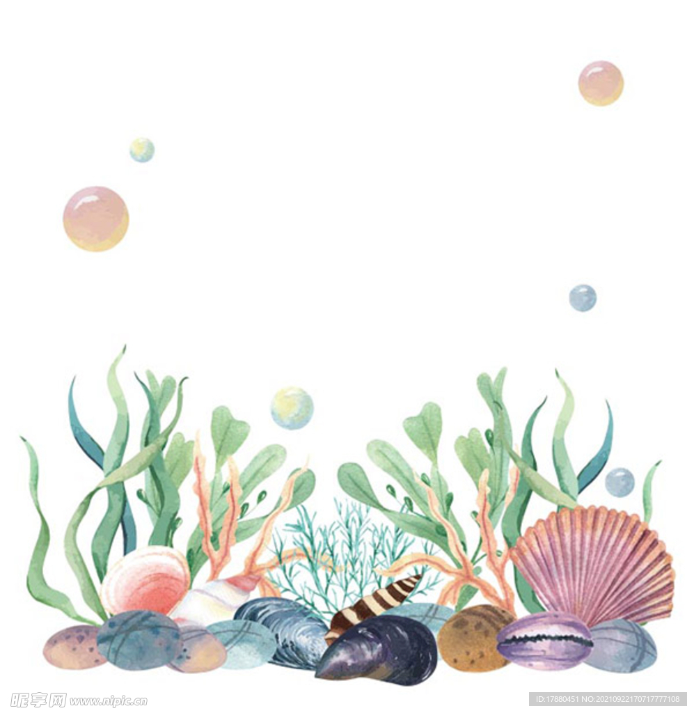 水彩海洋生物