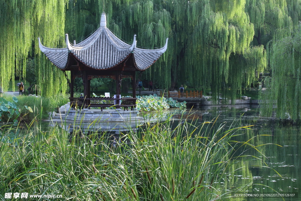 陶然亭风景 