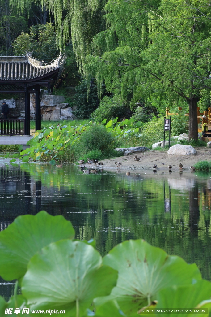 陶然亭风景 