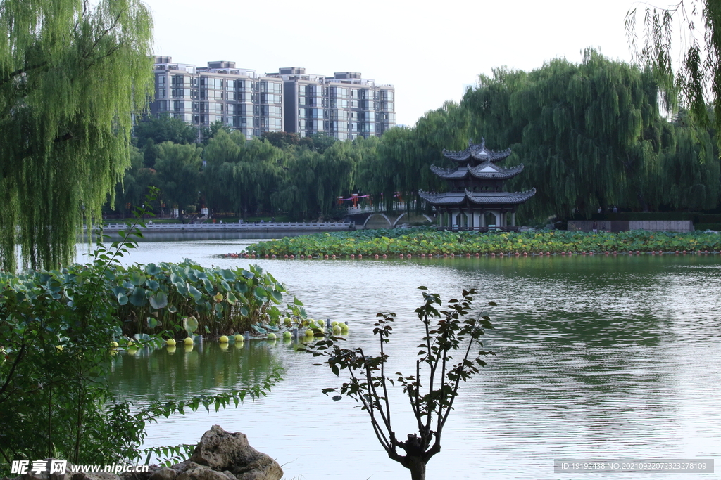 陶然亭风景 