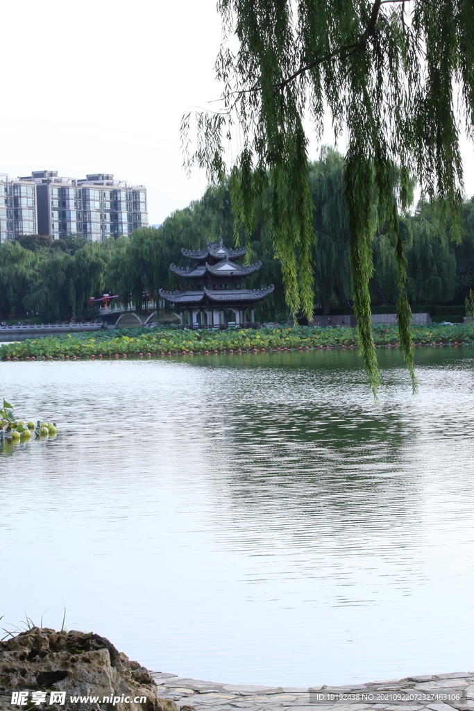 陶然亭风景