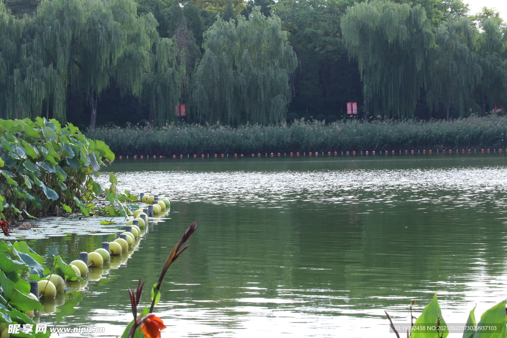 陶然亭风景