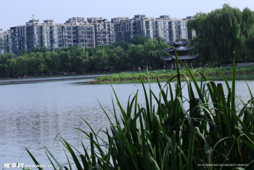 陶然亭风景 