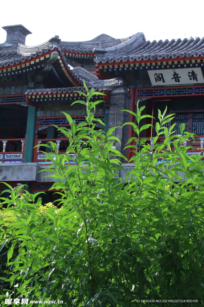 陶然亭风景 
