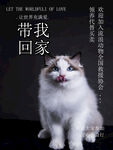 带我回家