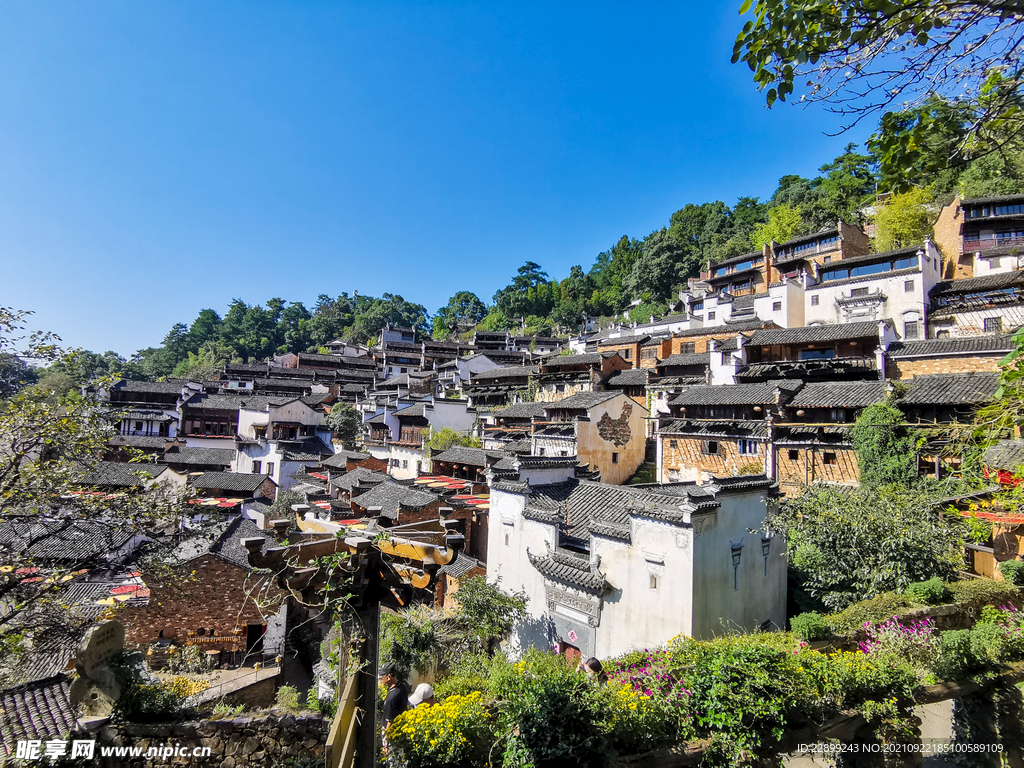 婺源篁岭古镇晒秋美景