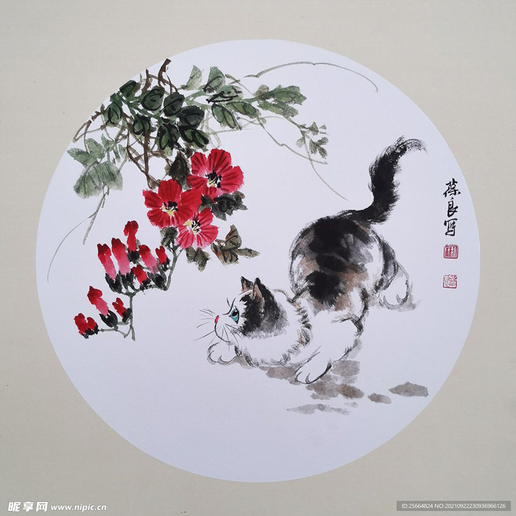 牵牛花