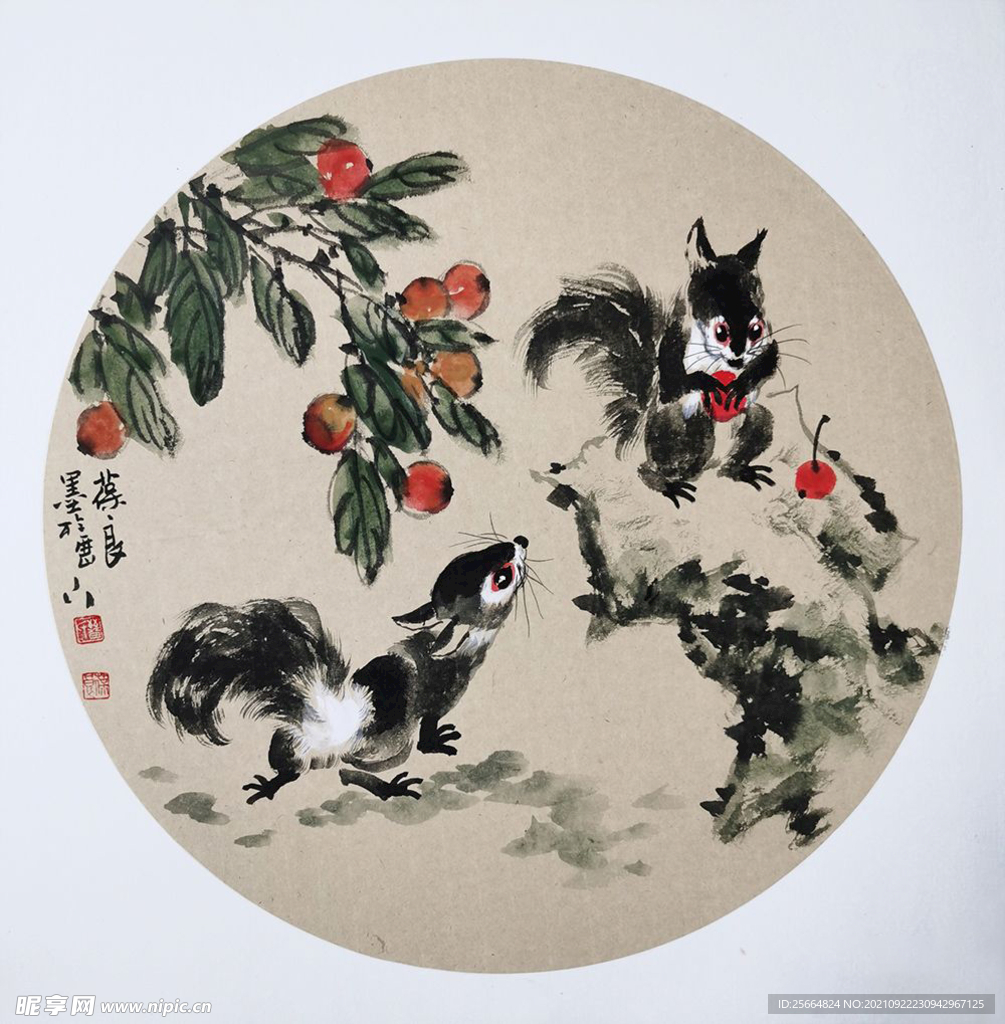 松鼠图