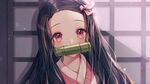 鬼灭之刃祢豆子