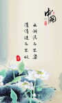 莲花