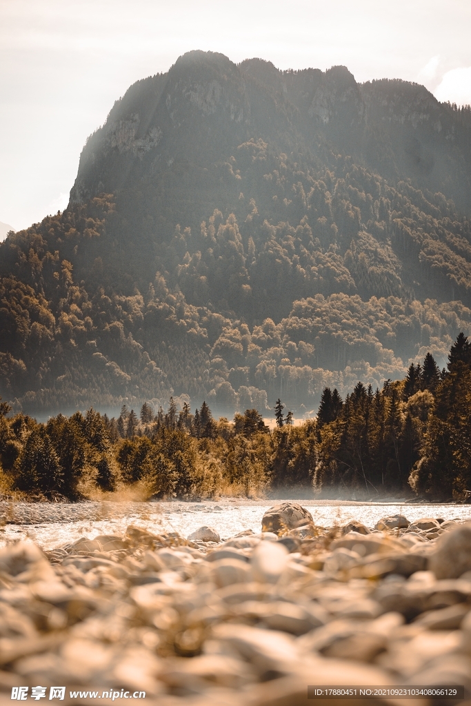 山林