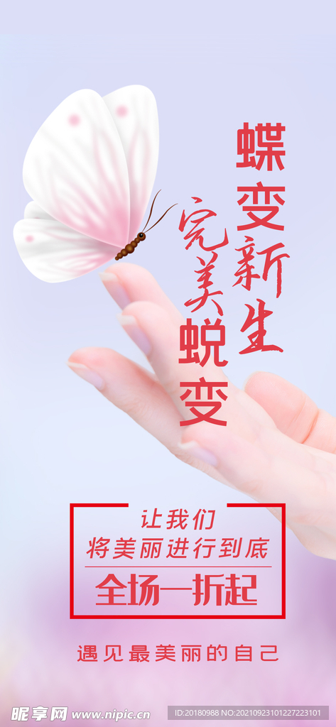 美容