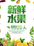 水果海报
