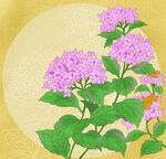 盛开的美丽鲜花