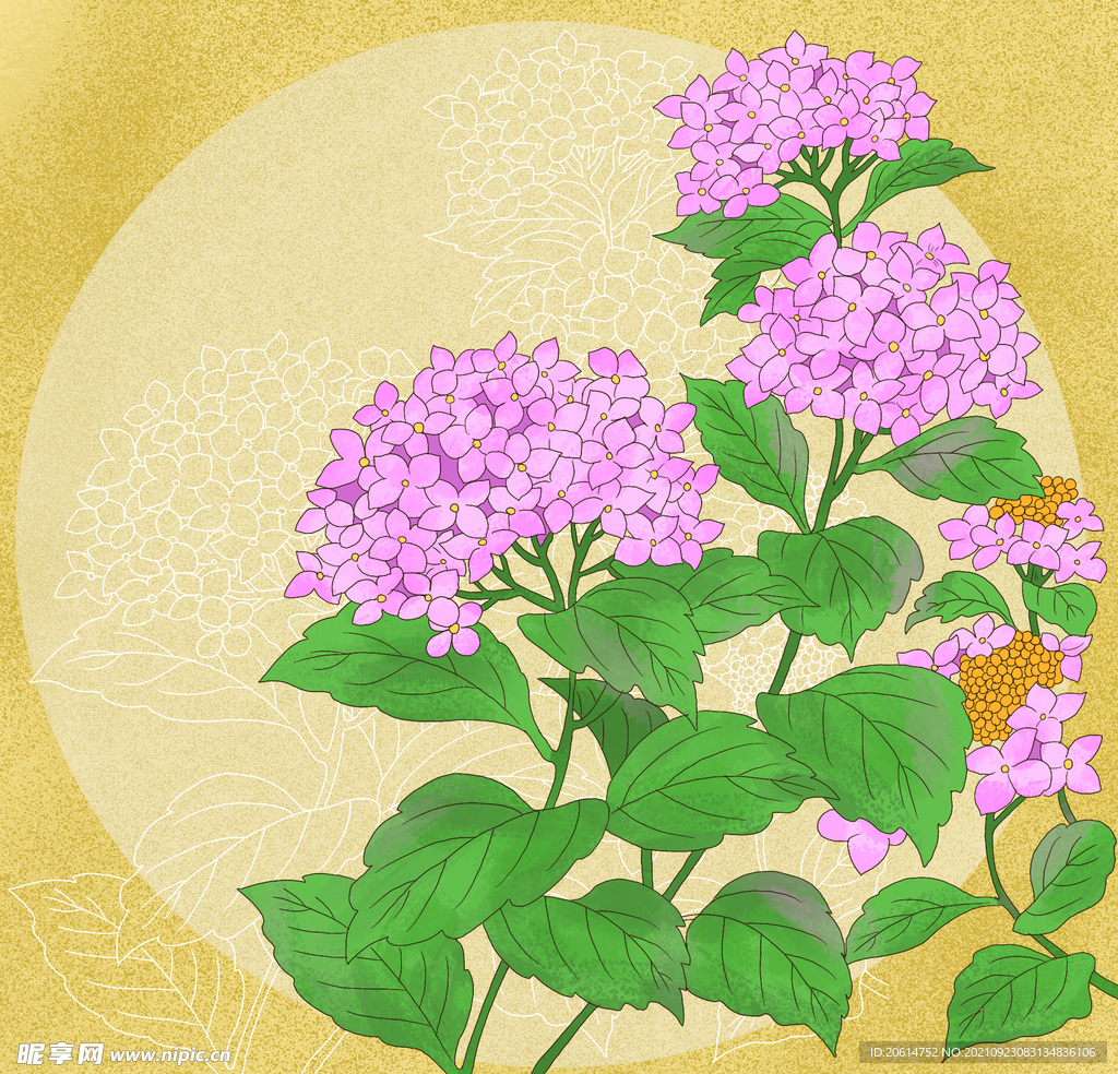 盛开的美丽鲜花