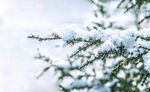 雪景背景 