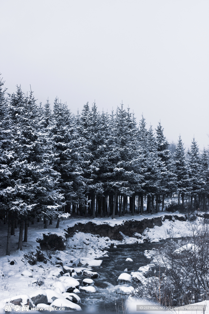 雪景背景