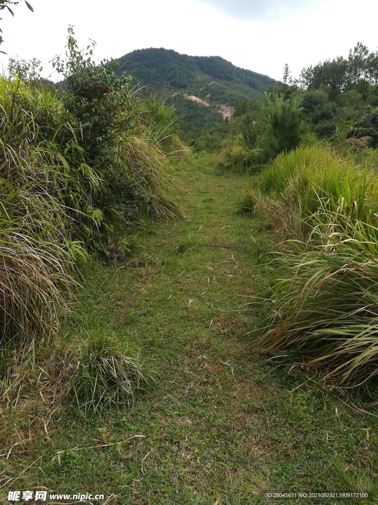 草原路