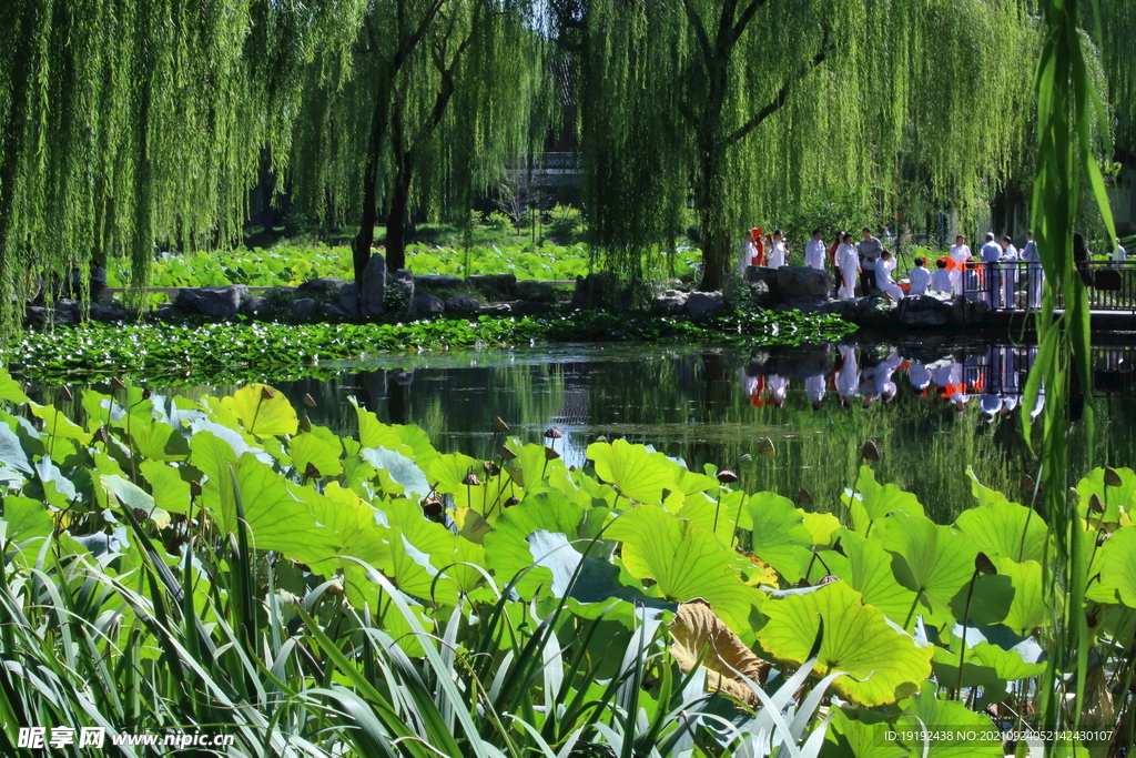 陶然亭风景