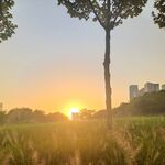 太阳