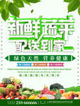 新鲜蔬菜海报