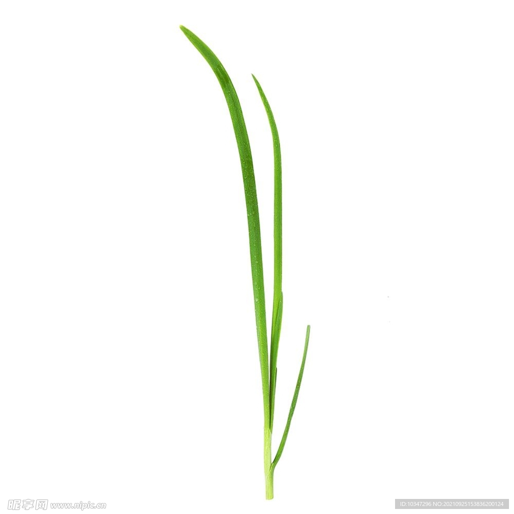时令蔬菜  