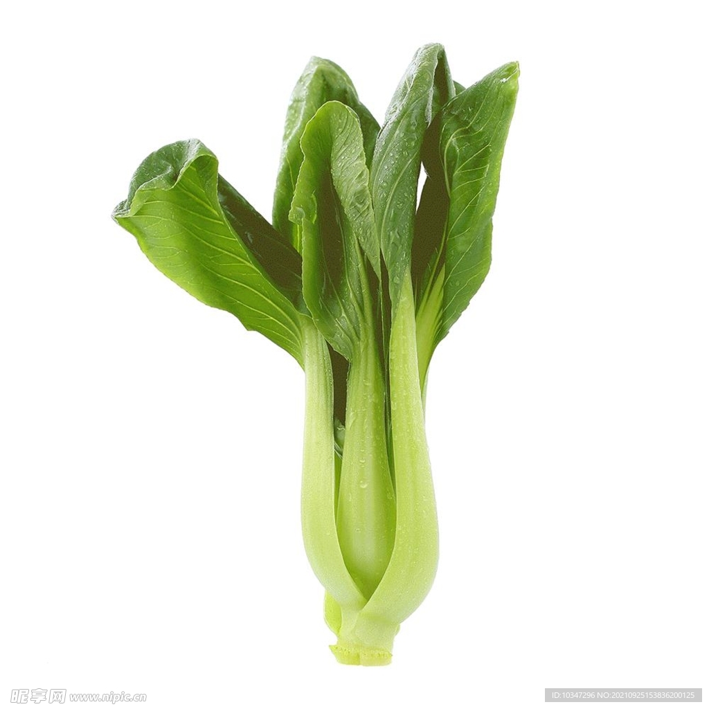 时令蔬菜  
