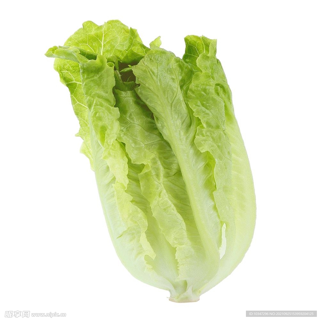 时令蔬菜  