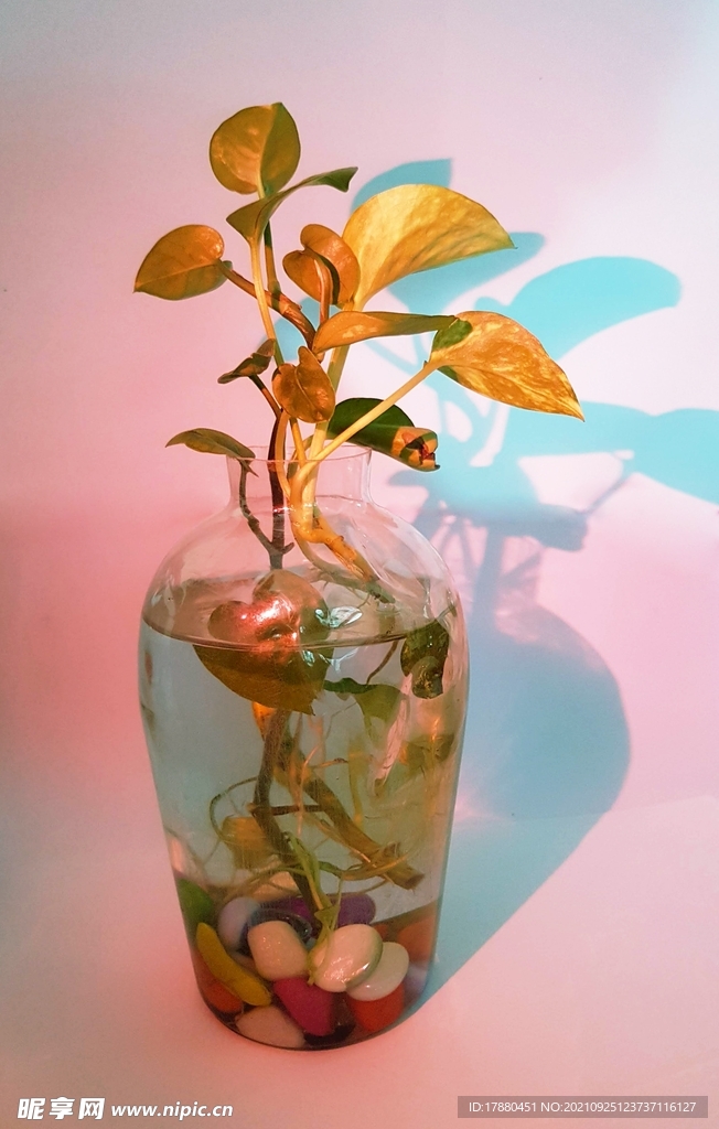 插花