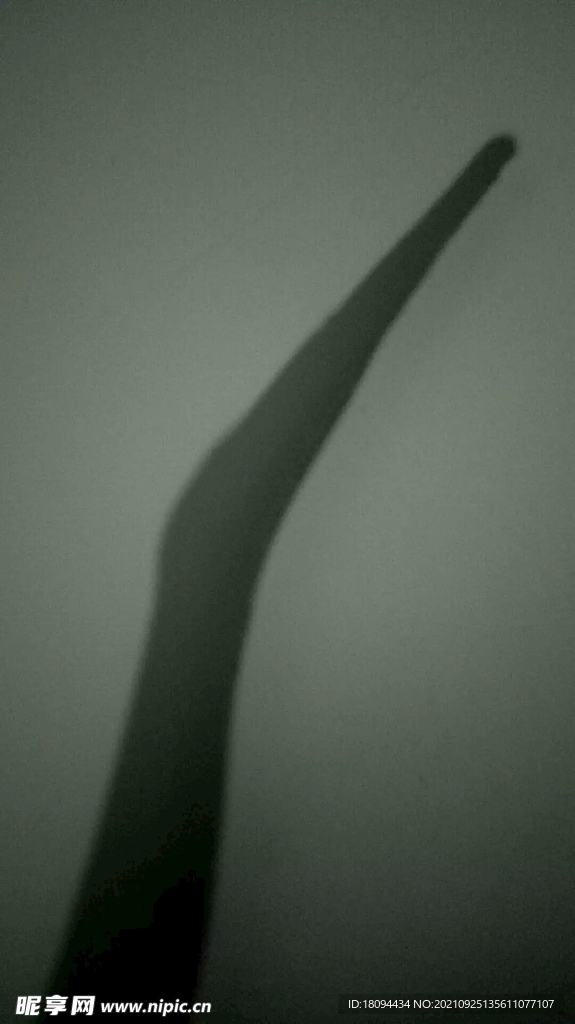 影子