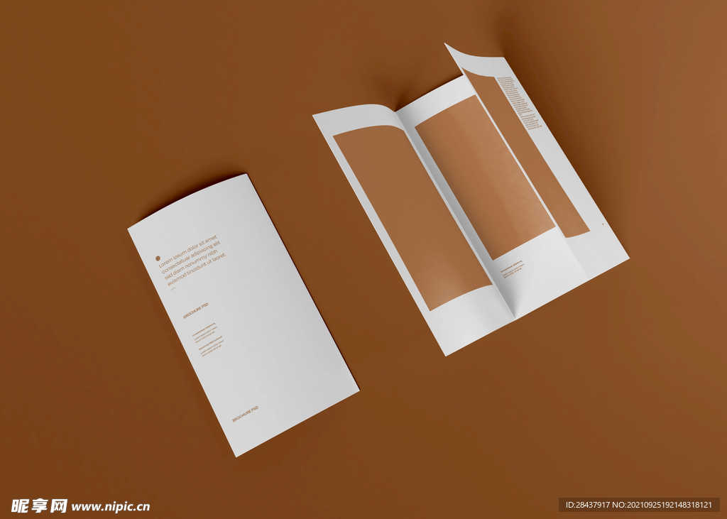 宣传册样机