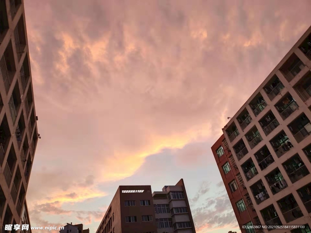 风景