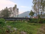 乡村小景