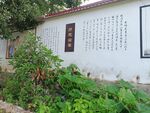 文化墙