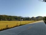 乡村