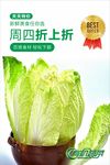 蔬菜海报  