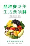 蔬菜海报 