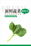 蔬菜海报 
