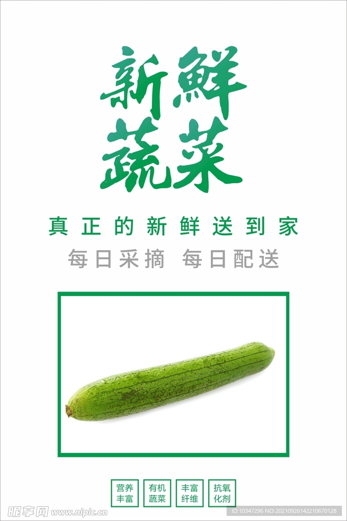 蔬菜海报 