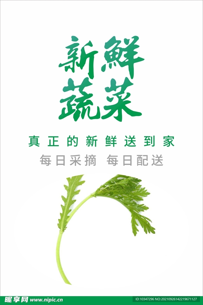 蔬菜海报  