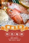 海鲜海报  