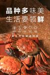 海鲜海报  