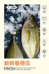 海鲜海报 