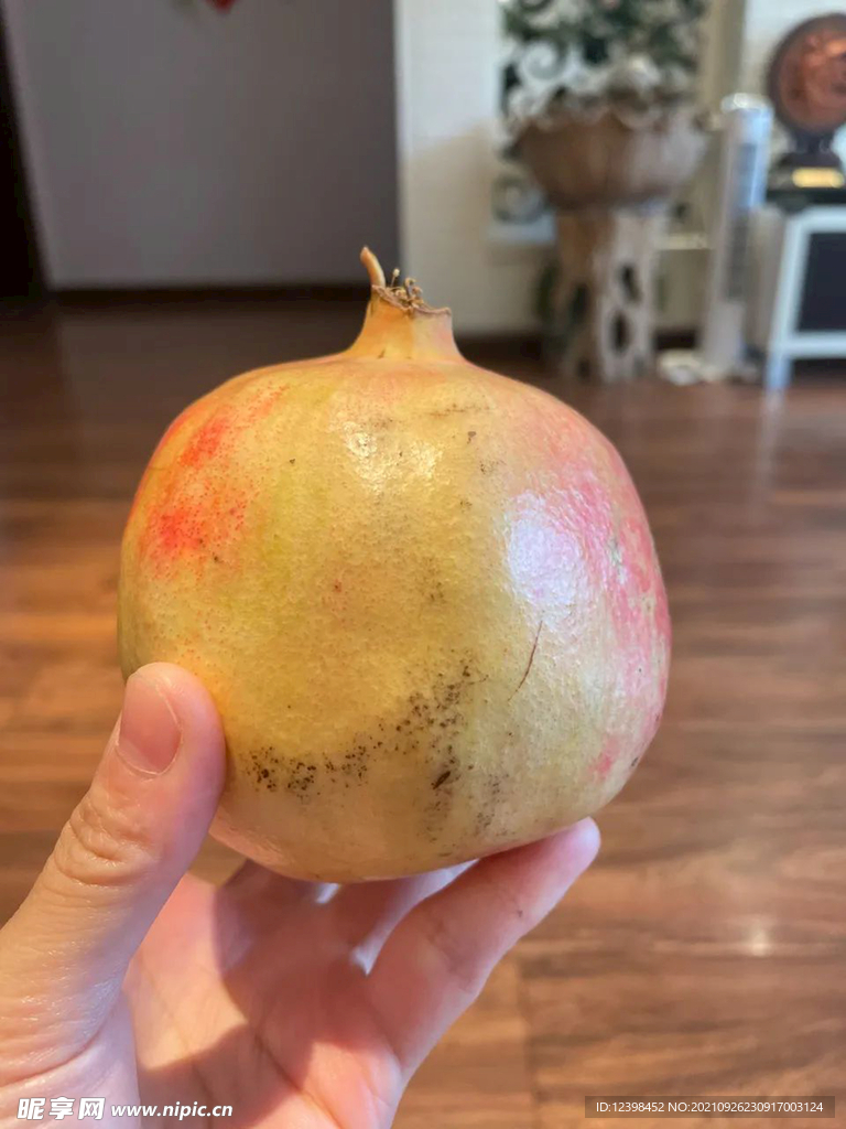 突尼斯软籽石榴